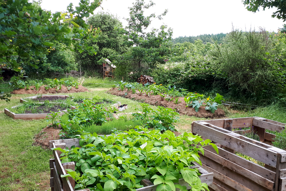 formation-permaculture-mini