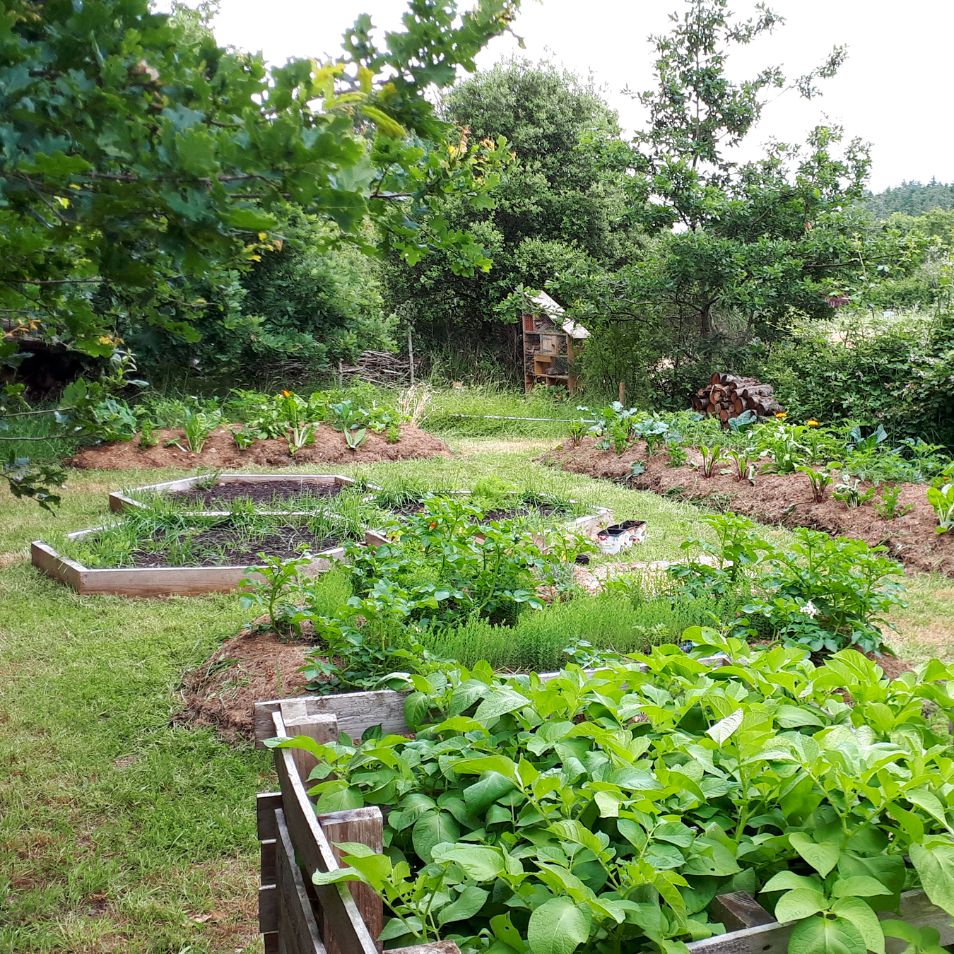 formation-permaculture1