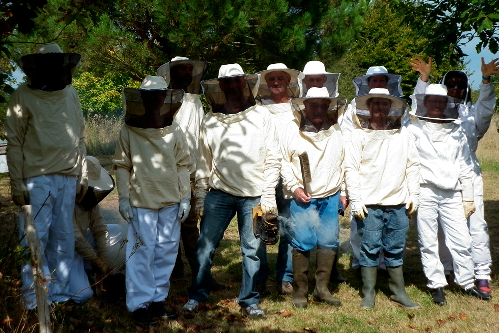 stage-apiculture-mini